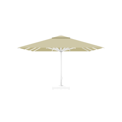PARASOL