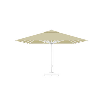 PARASOL