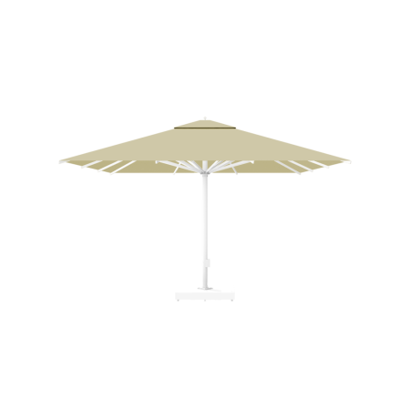 PARASOL