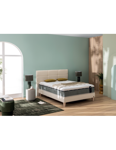 THE ELEGANCES COLLECTION