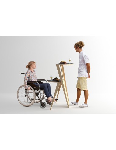 TABLE WITH TWO HEIGHT SETTINGS