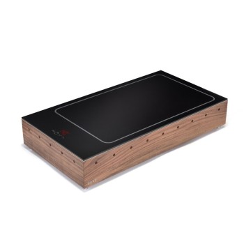ELECTRIC HEATING PLATE